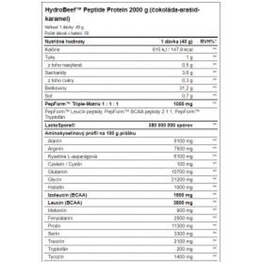 Amix - Hydro Beef 2000 g AMIX